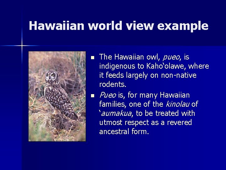 Hawaiian world view example n n The Hawaiian owl, pueo, is indigenous to Kaho‘olawe,