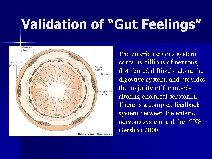 Validation of “Gut Feelings” The enteric nervous system contains billions of neurons, distributed diffusely