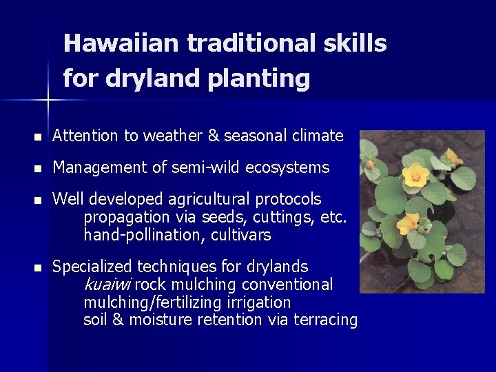 Hawaiian traditional skills for dryland planting n Attention to weather & seasonal climate n