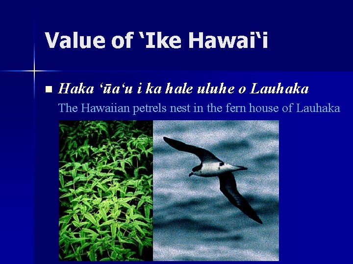 Value of ‘Ike Hawai‘i n Haka ‘ūa‘u i ka hale uluhe o Lauhaka The