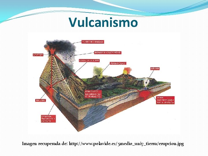 Vulcanismo Imagen recuperada de: http: //www. polavide. es/5 medio_uni 7_tierra/erupcion. jpg 