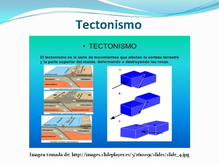 Tectonismo Imagen tomada de: http: //images. slideplayer. es/5/1610091/slides/slide_4. jpg 