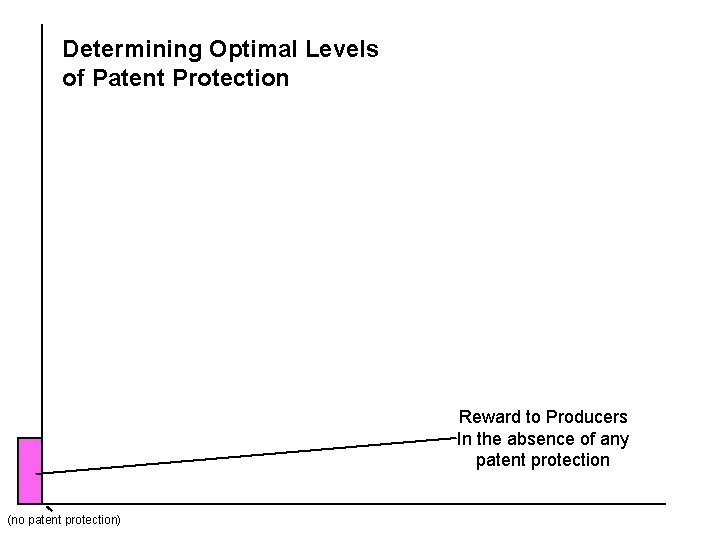 Determining Optimal Levels of Patent Protection Reward to Producers In the absence of any