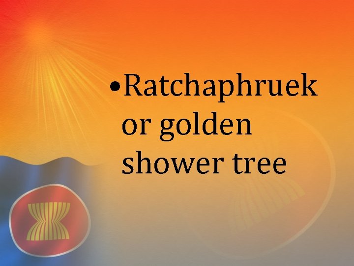  • Ratchaphruek or golden shower tree 