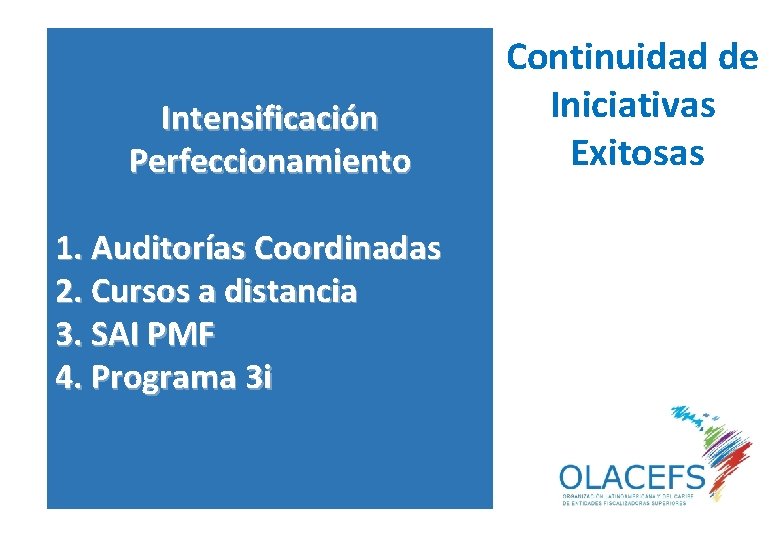 Intensificación Perfeccionamiento 1. Auditorías Coordinadas 2. Cursos a distancia 3. SAI PMF 4. Programa