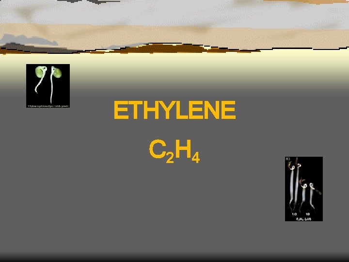 ETHYLENE C 2 H 4 