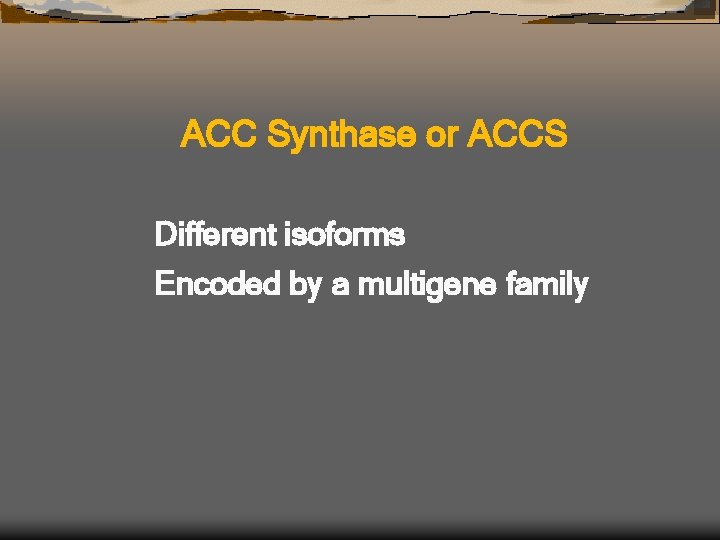 ACC Synthase or ACCS Different isoforms Encoded by a multigene family 