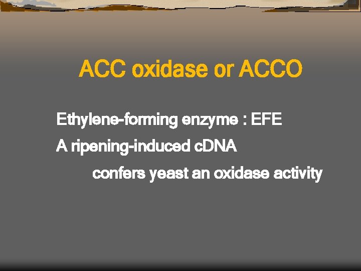 ACC oxidase or ACCO Ethylene-forming enzyme : EFE A ripening-induced c. DNA confers yeast