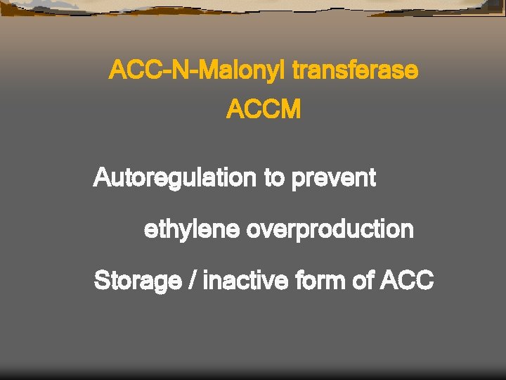 ACC-N-Malonyl transferase ACCM Autoregulation to prevent ethylene overproduction Storage / inactive form of ACC