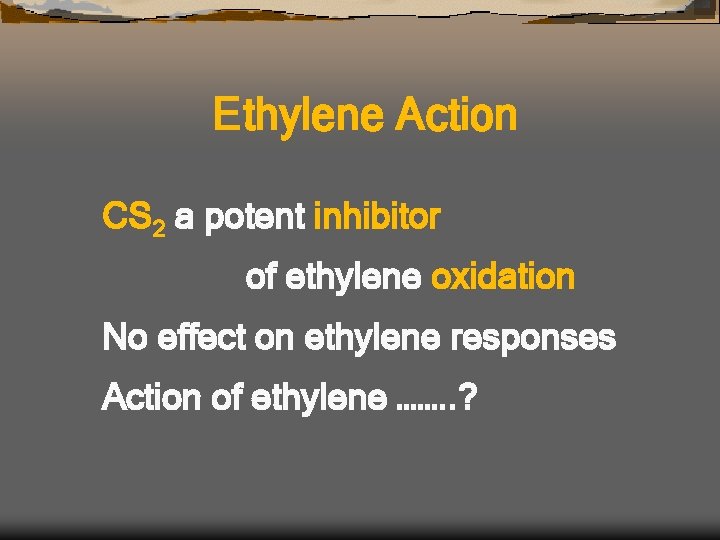 Ethylene Action CS 2 a potent inhibitor of ethylene oxidation No effect on ethylene