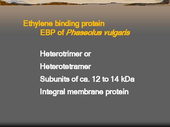 Ethylene binding protein EBP of Phaseolus vulgaris Heterotrimer or Heterotetramer Subunits of ca. 12