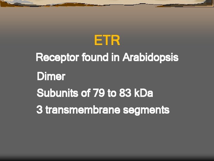 ETR Receptor found in Arabidopsis Dimer Subunits of 79 to 83 k. Da 3