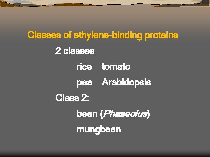 Classes of ethylene-binding proteins 2 classes rice tomato pea Arabidopsis Class 2: bean (Phaseolus)