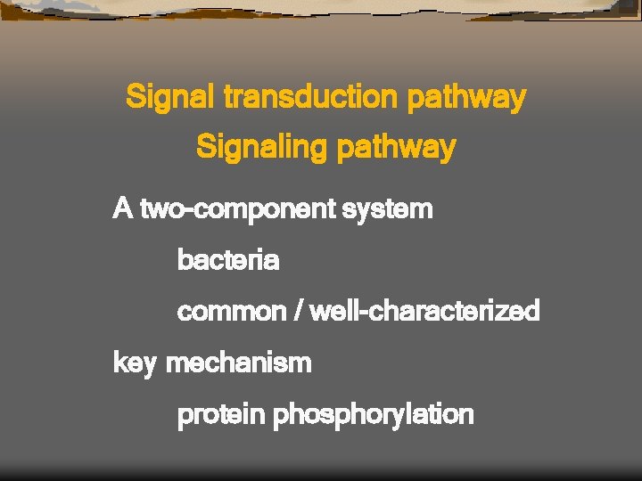 Signal transduction pathway Signaling pathway A two-component system bacteria common / well-characterized key mechanism