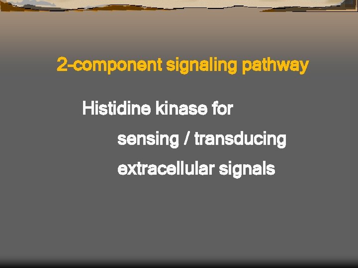 2 -component signaling pathway Histidine kinase for sensing / transducing extracellular signals 