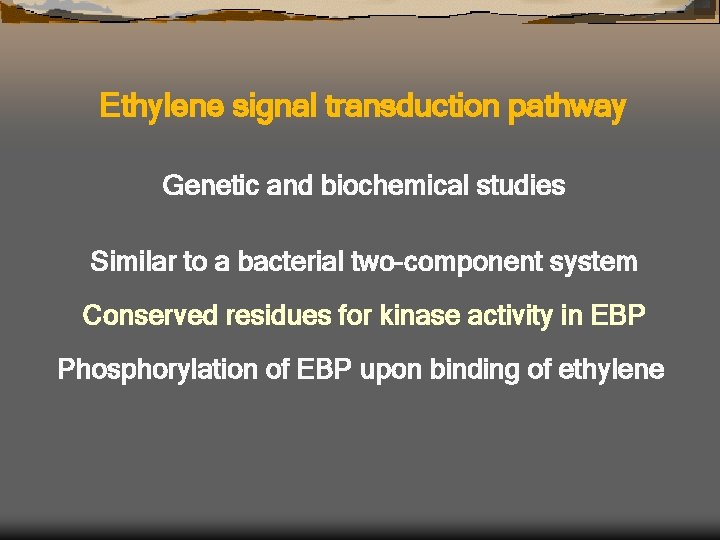 Ethylene signal transduction pathway Genetic and biochemical studies Similar to a bacterial two-component system