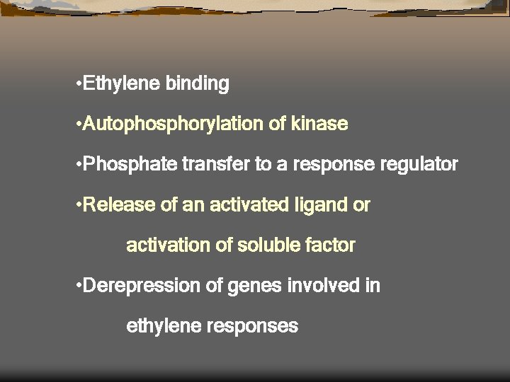  • Ethylene binding • Autophosphorylation of kinase • Phosphate transfer to a response