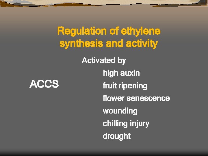 Regulation of ethylene synthesis and activity Activated by high auxin ACCS fruit ripening flower