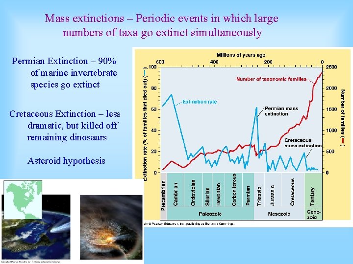 Mass extinctions – Periodic events in which large numbers of taxa go extinct simultaneously