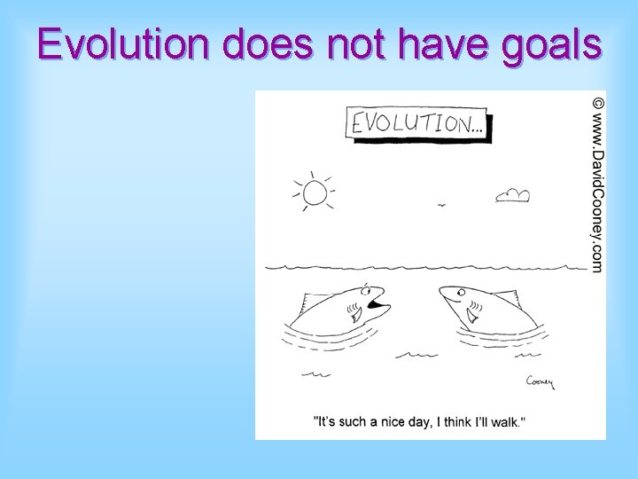 Evolution does not have goals 