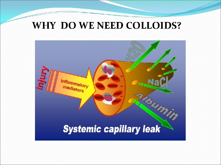 WHY DO WE NEED COLLOIDS? 