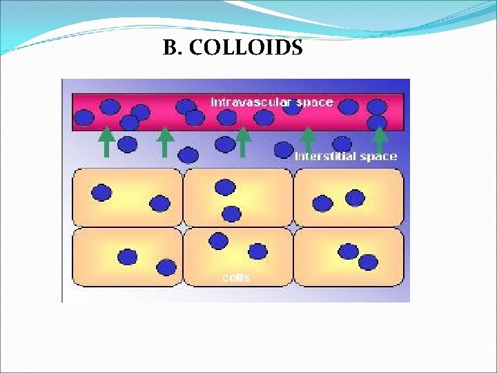 B. COLLOIDS 