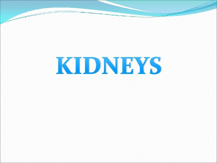 KIDNEYS 