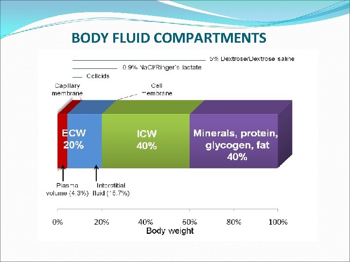 BODY FLUID COMPARTMENTS 