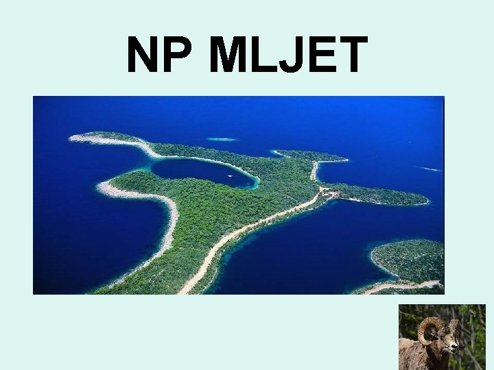 NP MLJET 