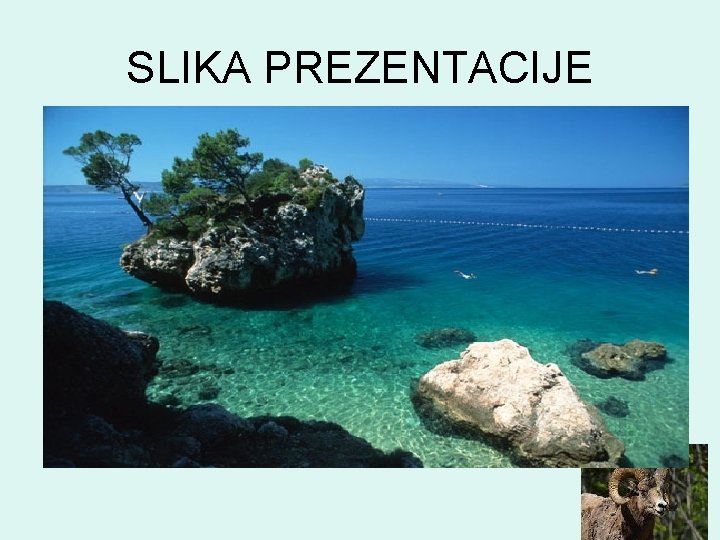 SLIKA PREZENTACIJE 