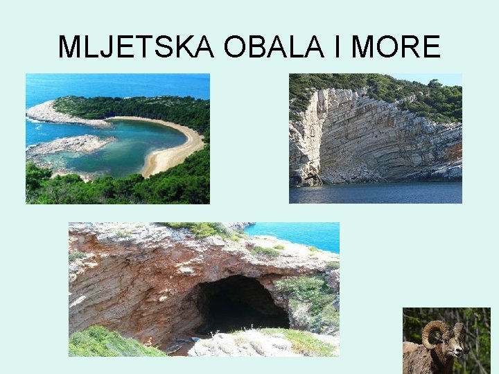 MLJETSKA OBALA I MORE 