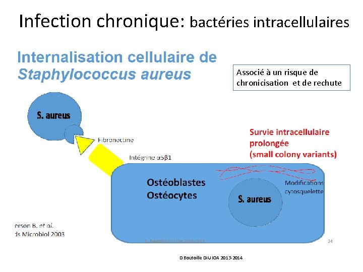 Infection chronique: bactéries intracellulaires Associé à un risque de chronicisation et de rechute D