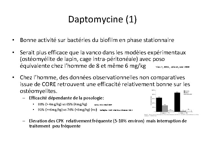 Daptomycine (1) • Bonne activité sur bactéries du biofilm en phase stationnaire • Serait