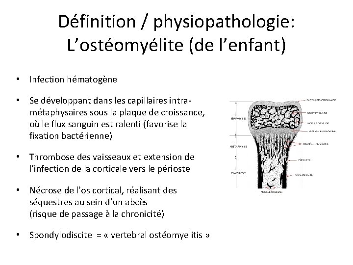 Définition / physiopathologie: L’ostéomyélite (de l’enfant) • Infection hématogène • Se développant dans les