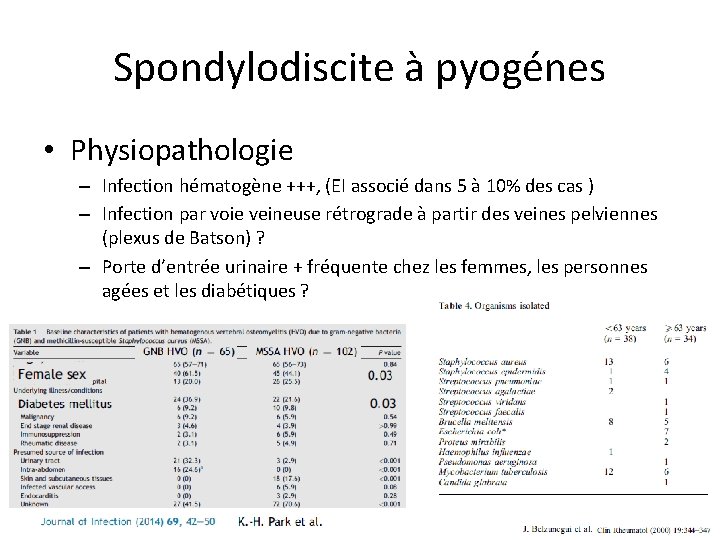 Spondylodiscite à pyogénes • Physiopathologie – Infection hématogène +++, (EI associé dans 5 à