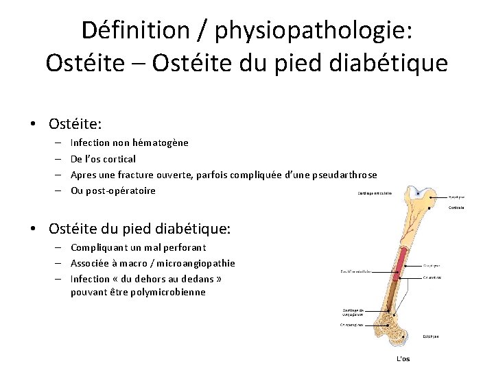 Définition / physiopathologie: Ostéite – Ostéite du pied diabétique • Ostéite: – – Infection