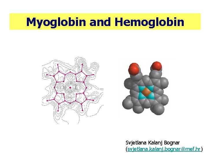 Myoglobin and Hemoglobin Svjetlana Kalanj Bognar (svjetlana. kalanj. bognar@mef. hr) 