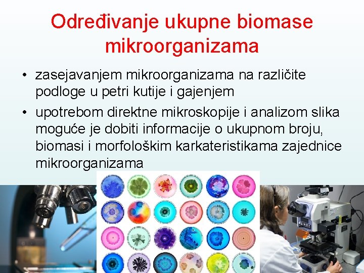 Određivanje ukupne biomase mikroorganizama • zasejavanjem mikroorganizama na različite podloge u petri kutije i