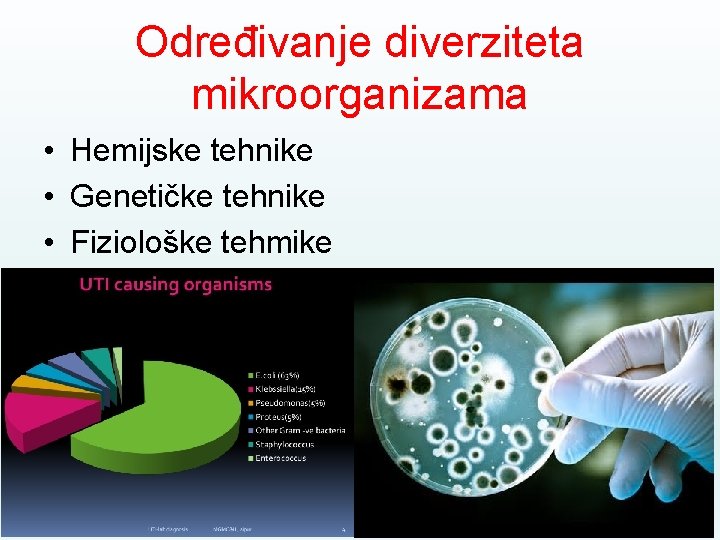 Određivanje diverziteta mikroorganizama • Hemijske tehnike • Genetičke tehnike • Fiziološke tehmike 