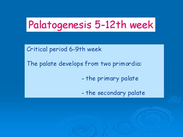 Palatogenesis 5 -12 th week Critical period 6 -9 th week The palate develops