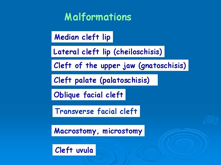 Malformations Median cleft lip Lateral cleft lip (cheiloschisis) Cleft of the upper jaw (gnatoschisis)