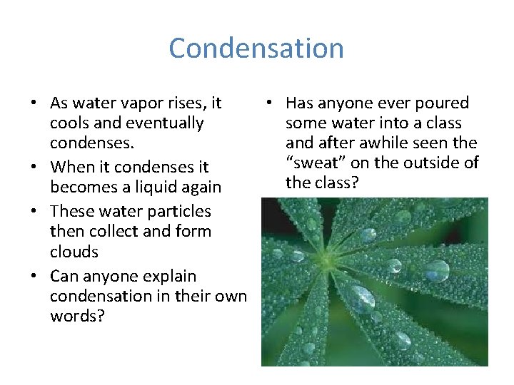 Condensation • As water vapor rises, it • Has anyone ever poured cools and