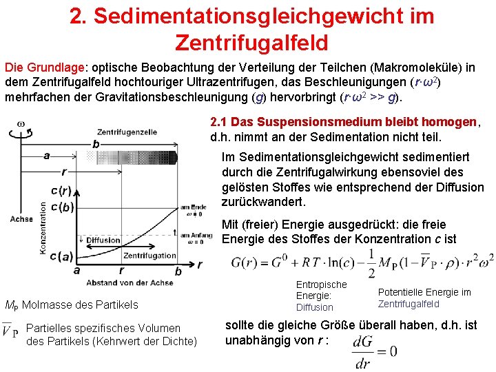 2. Sedimentationsgleichgewicht im Zentrifugalfeld Die Grundlage: optische Beobachtung der Verteilung der Teilchen (Makromoleküle) in