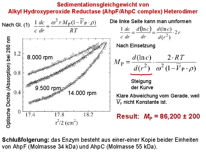 Sedimentationsgleichgewicht von Alkyl Hydroxyperoxide Reductase (Ahp. F/Ahp. C complex) Heterodimer Die linke Seite kann