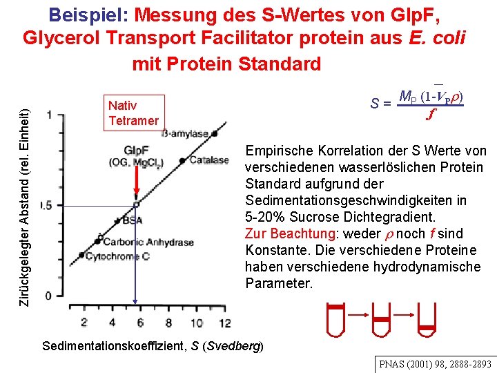 Zirückgelegter Abstand (rel. Einheit) relative distance moved Beispiel: Messung des S-Wertes von Glp. F,