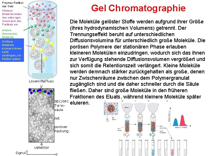 Polymer Partikel des Gels Kleinere Moleküle treten den wässrigen Innenraum des Partikels ein. Andere