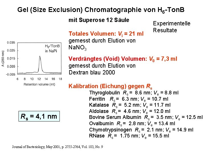 Gel (Size Exclusion) Chromatographie von H 6 -Ton. B mit Superose 12 Säule Totales