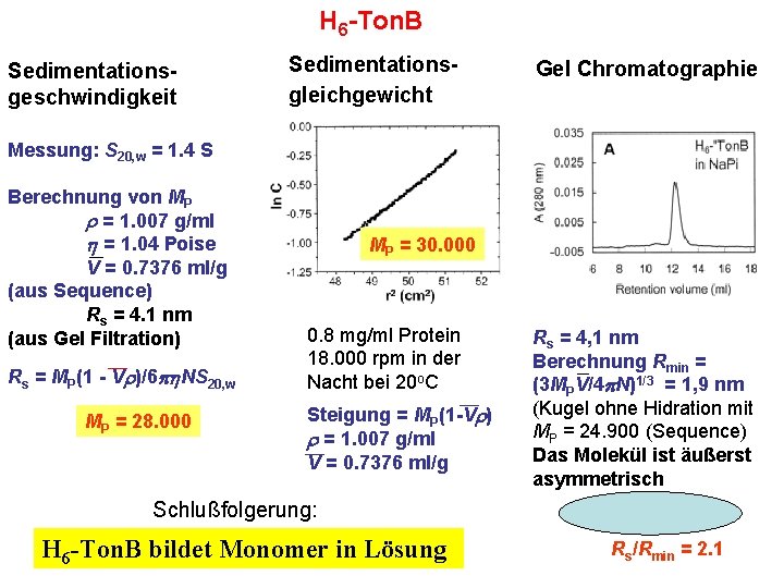 H 6 -Ton. B Sedimentationsgeschwindigkeit Sedimentations- gleichgewicht Gel Chromatographie Messung: S 20, w =