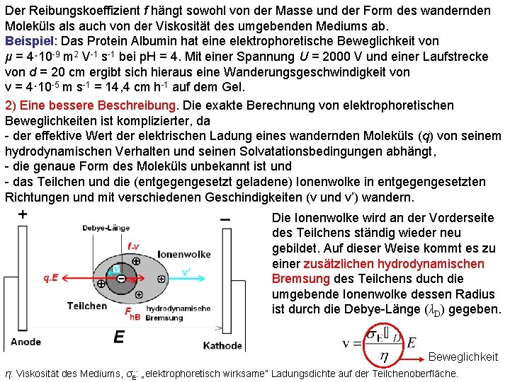 Der Reibungskoeffizient f hängt sowohl von der Masse und der Form des wandernden Moleküls