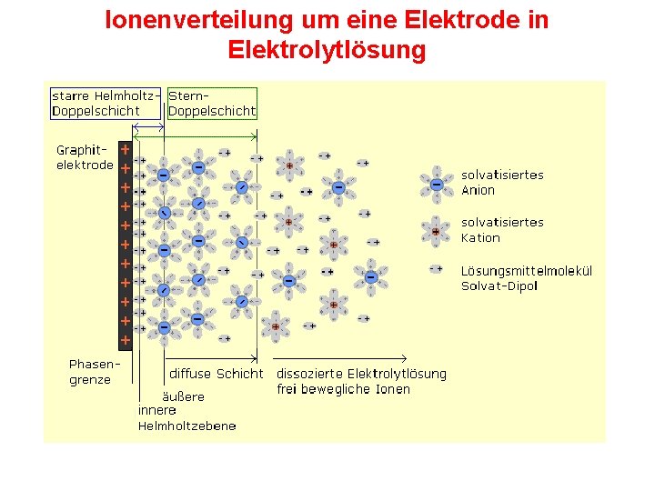 Ionenverteilung um eine Elektrode in Elektrolytlösung 